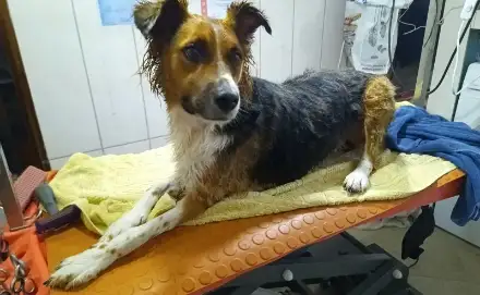nach dem Baden