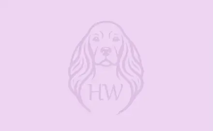 Logo Heike Wagner-Weinfurter